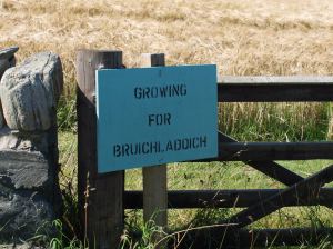 774293_10151184243915887_1168951884_o