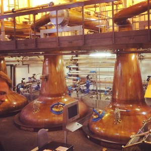 MacduffStills