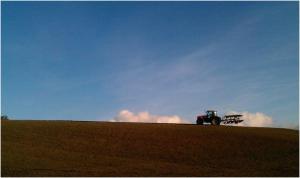 883220_10151262324295887_1222311481_o